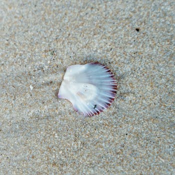 Image by Gilberto Olimpio