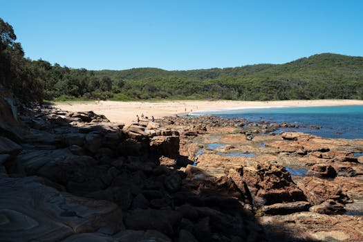 Scenic view of a rocky beach cove in Sydney with clear blue skies and lush greenery in the background.