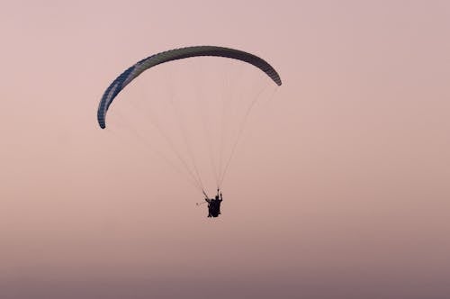 Gratis stockfoto met avontuur, hangglider, roze lucht Stockfoto