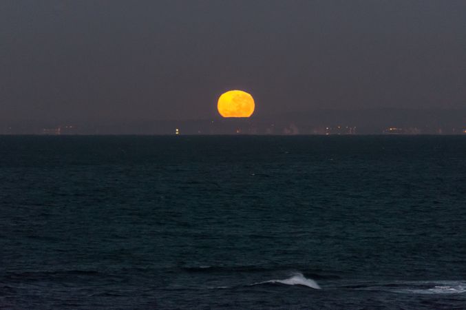 사리·조금·무시 뜻과 15일 물때 주기 — 음력일별 대조표