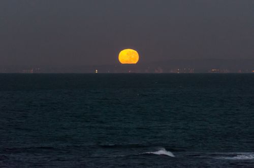 Free Gorgeous view of a full moon rising over the ocean near Sydney, creating a serene and enchanting seascape. Stock Photo