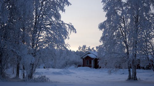 бесплатная Дом со снежным полем Стоковое фото