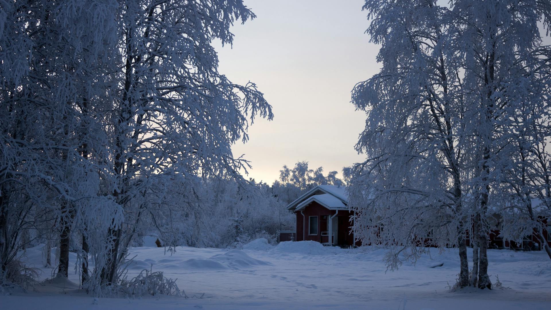 House With Snowfield