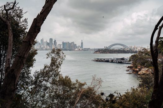 harbour viewpoint