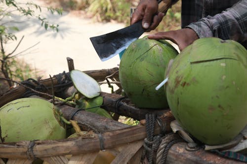 Person Slicing a Coconut