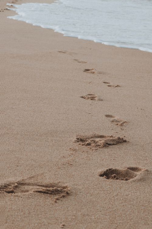 Free A scenic view of footprints leading along a sandy beach with gentle waves. Stock Photo