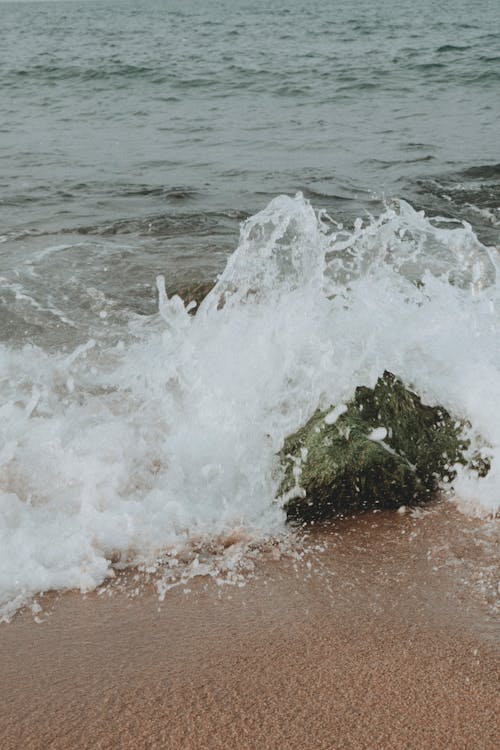 Foto profissional grátis de água, beira-mar, borrifando