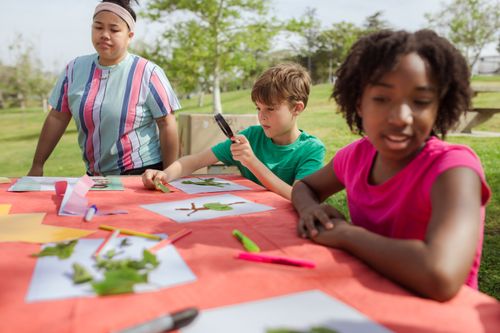 Free Kids engage in nature crafts outdoors, inspecting leaves with a magnifying glass, on a sunny day. Stock Photo