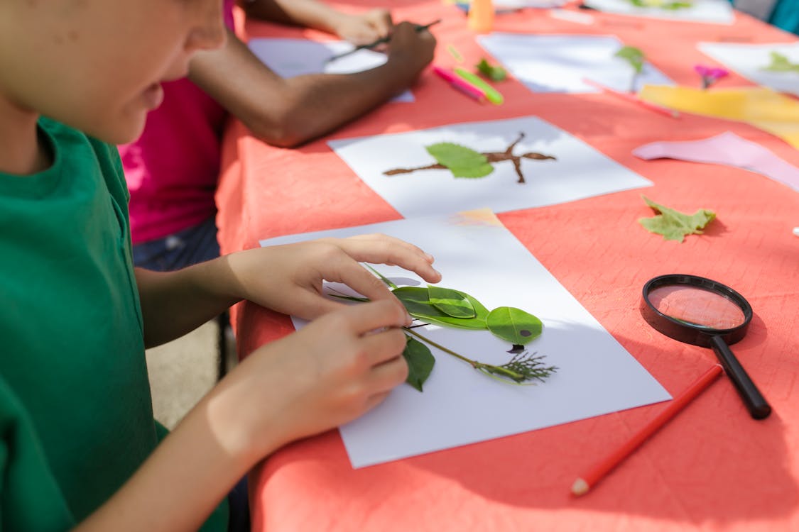 Free Person Holding Green Leaf on White Paper Stock Photo