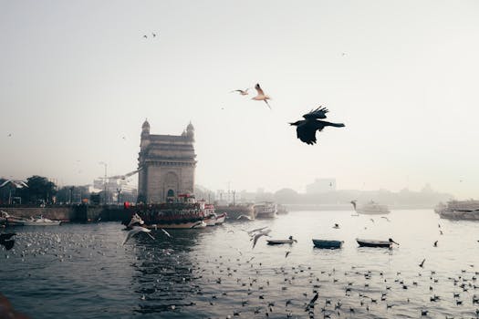 Mumbai, India photo 12