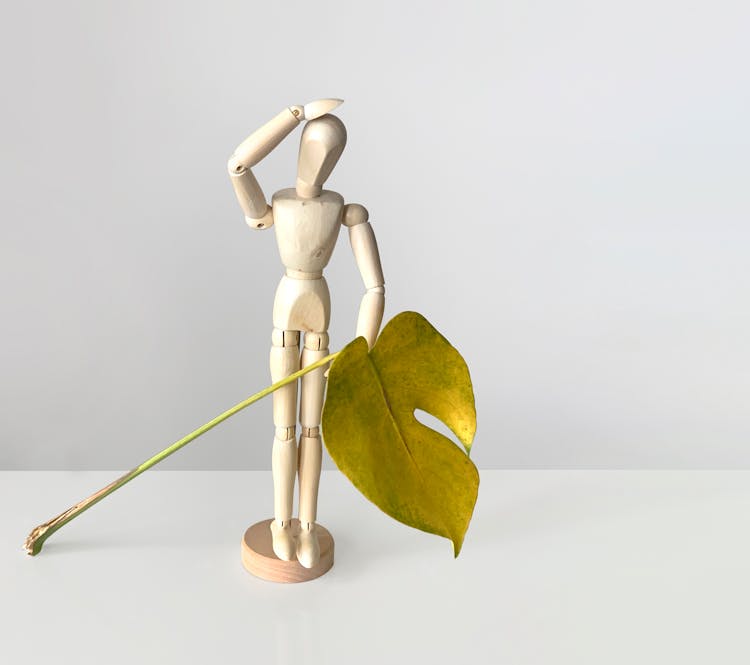 A Wooden Human Model Holding A Leaf