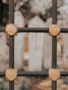 Black Iron Fence Painted in  Black and Gold