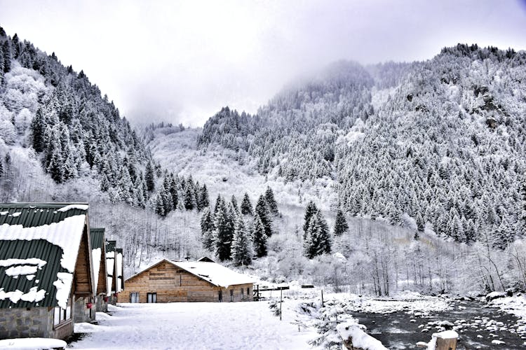 Cabins Near Mountain With Trees Covered With Snow