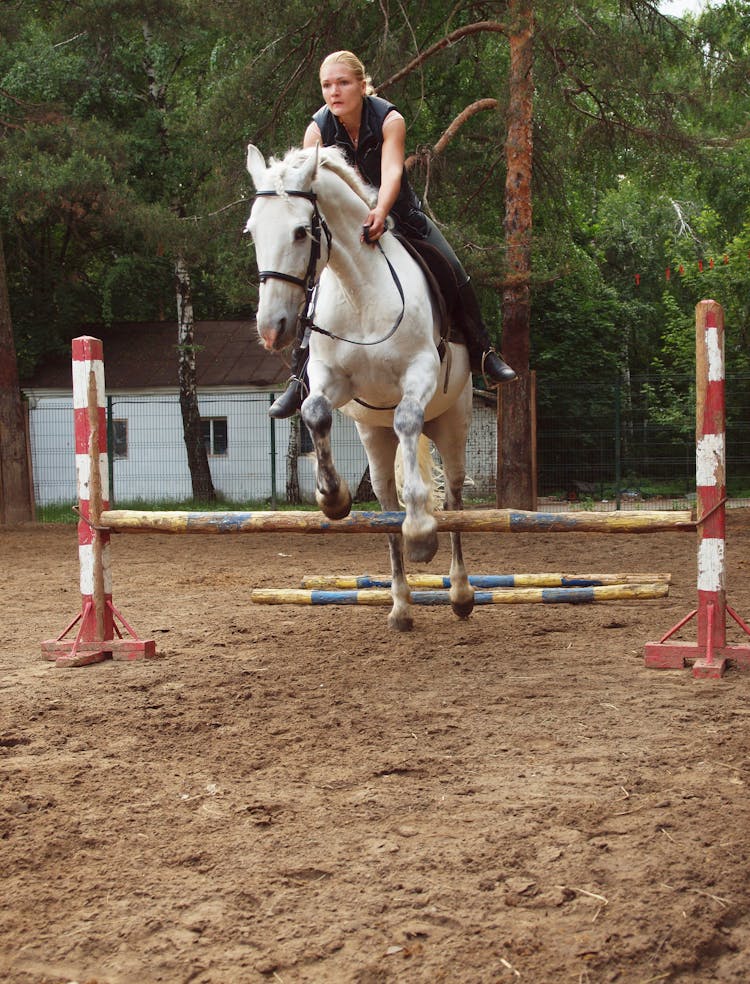 Woman Riding On A White Horse Jumping Over A Pole