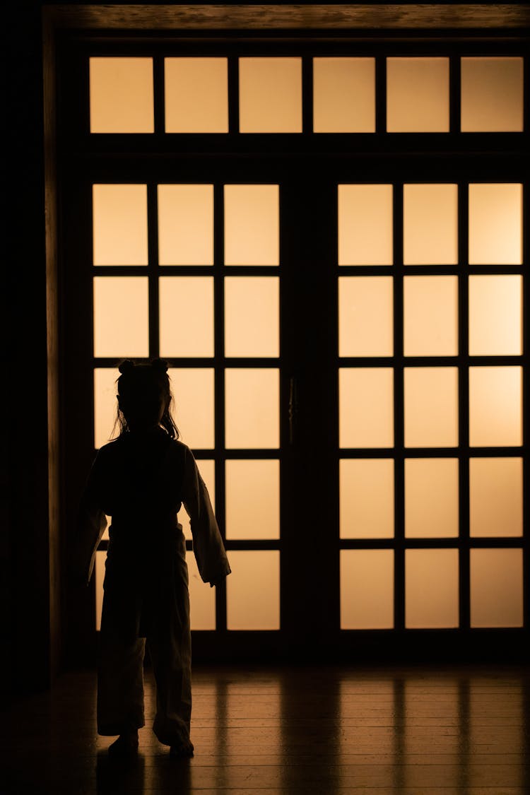 Silhouette Of A Child Standing Near Window