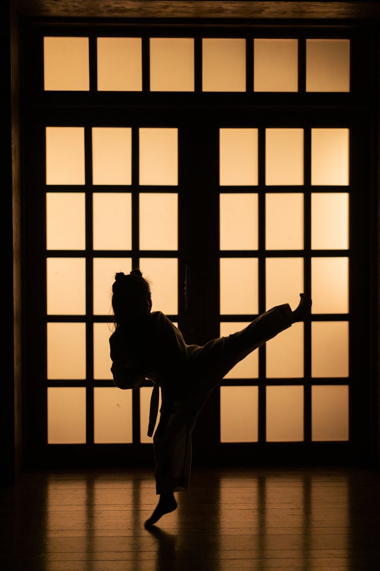 Silhouette Of Man Standing On Window