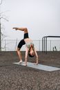 Free stock photo of active, balance, beach