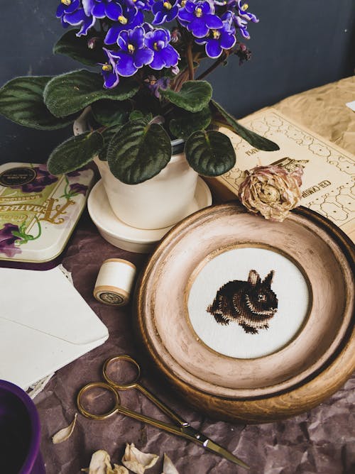 African Violet Plant on a Ceramic Vase Beside a Bowl 