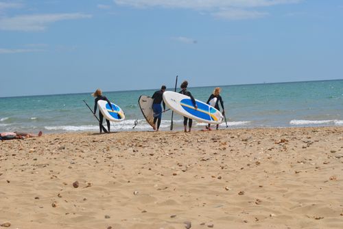 Free stock photo of surfing Stock Photo