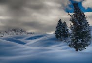 意大利塞尔瓦迪瓦尔加迪纳，白雪覆盖的山脉和树木在多云的天空下