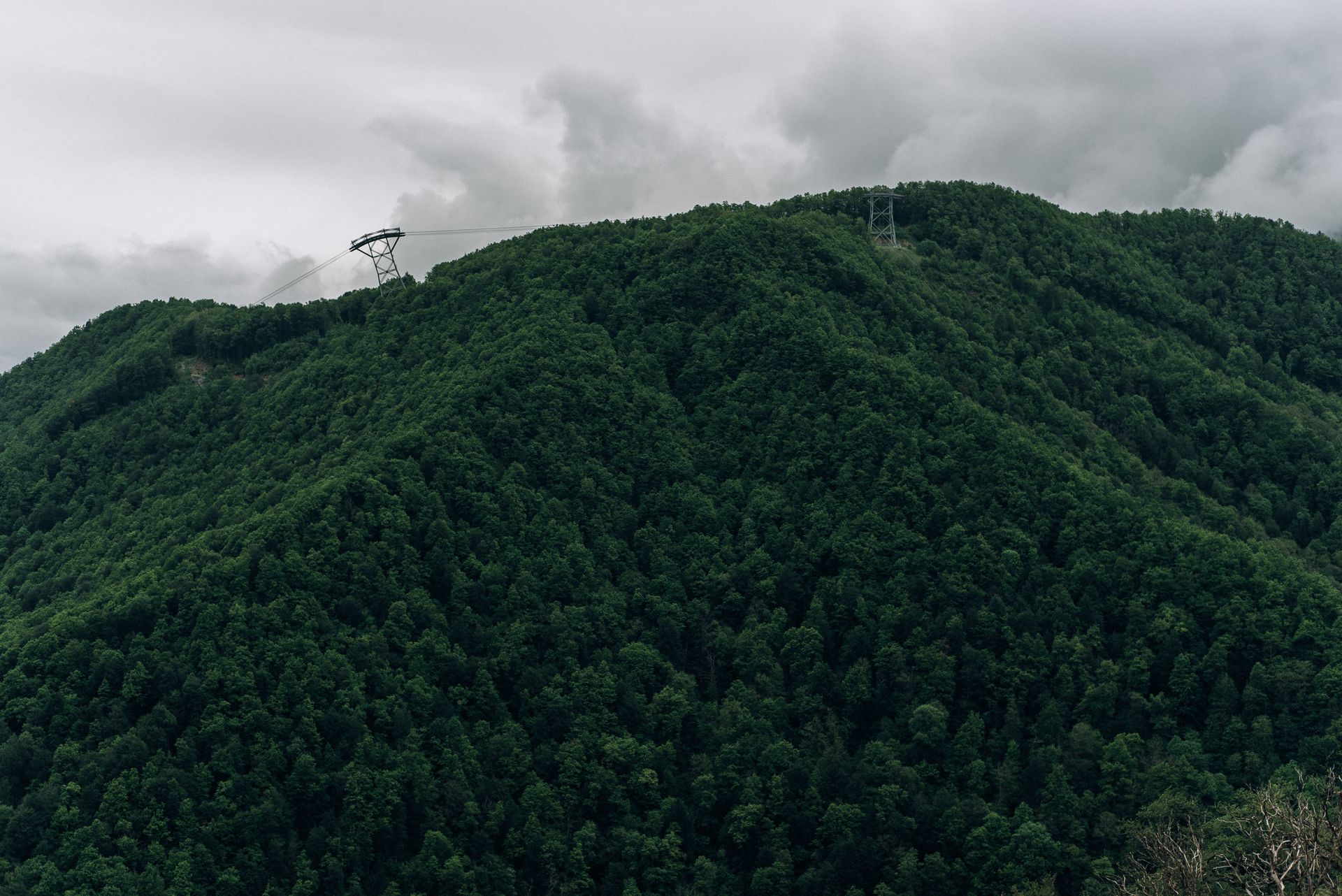 Scenic view of a verdant mountain forest with a cable tower under cloudy skies.