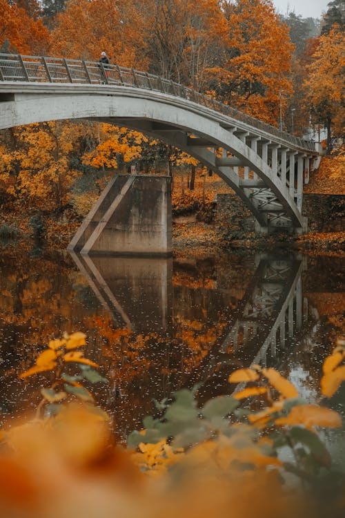 Concrete Bridge Over a Lake