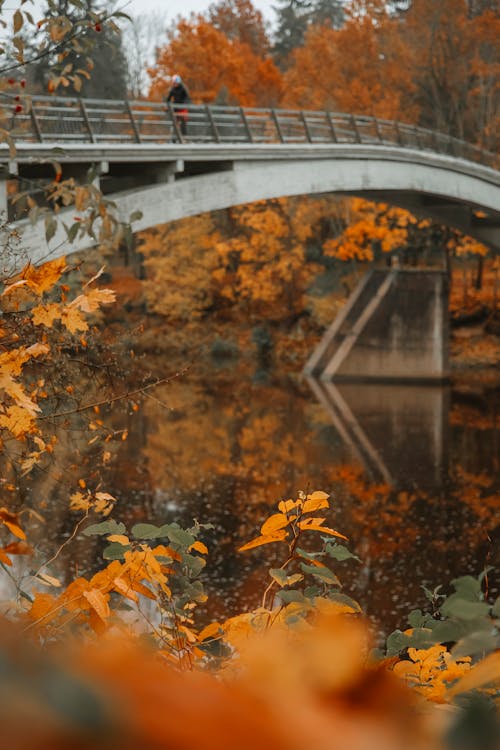 Persson Walking on the Bridge