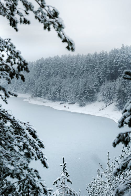 People Walking on Snow Covered Field