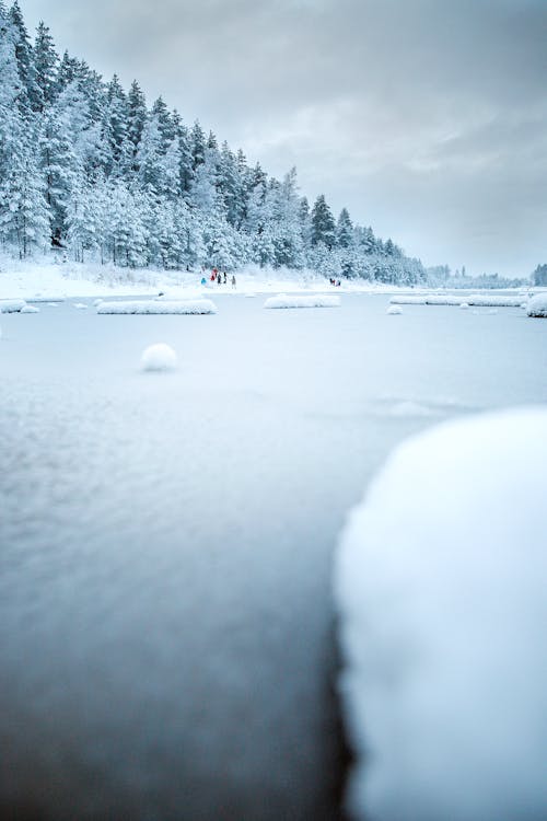 Frozen River in Winter