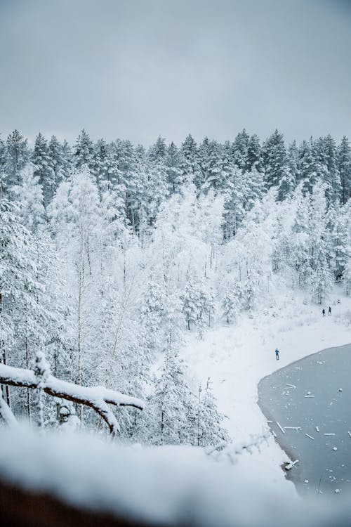 Aerial Shot of a Snow Covered Landscape