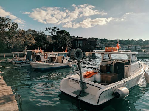 Photos gratuites de à quai, arbres, bateaux à moteur