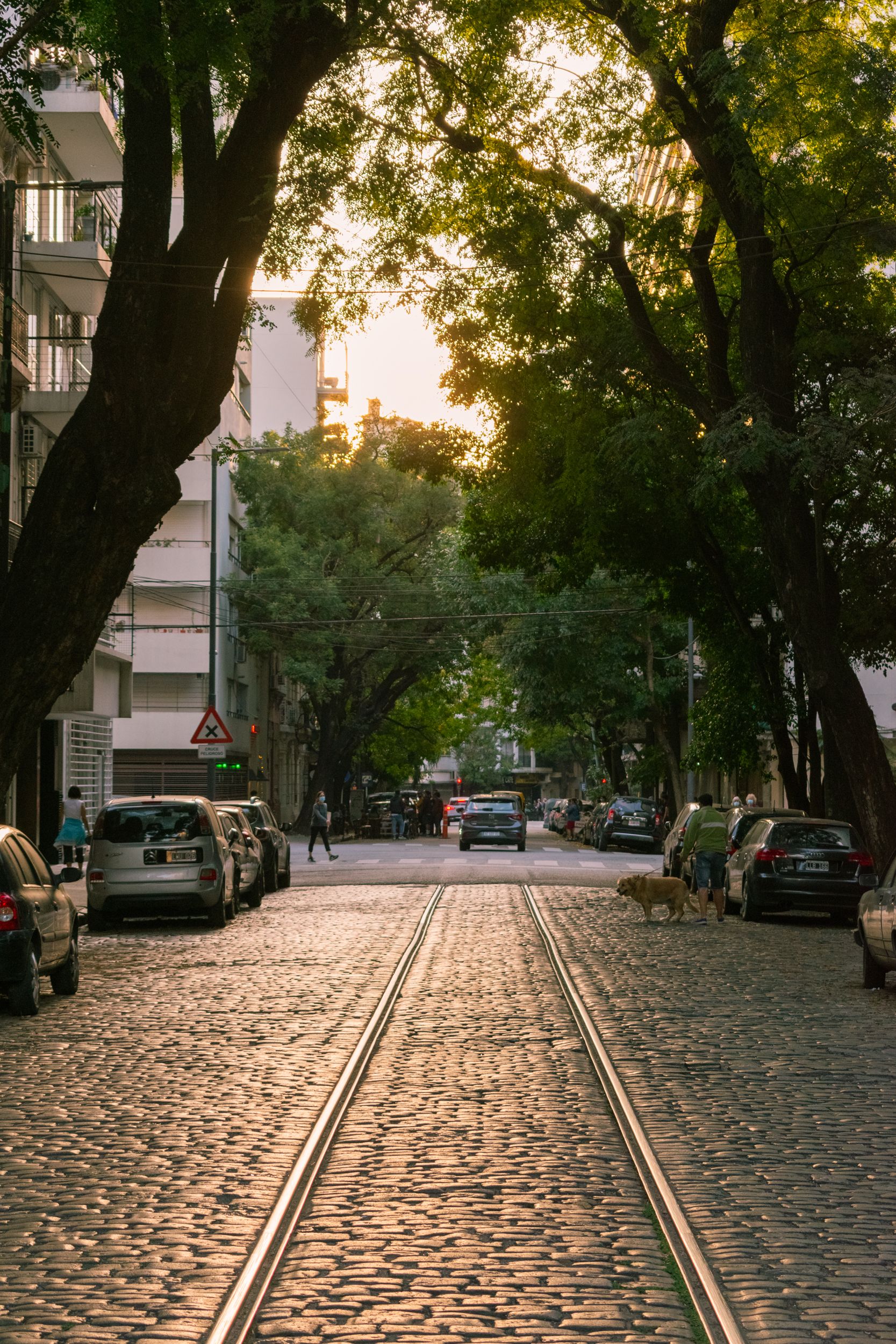 Parked Cars on Both Side of the Road Near Trees · Free Stock Photo