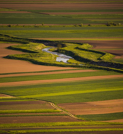 农业用地, 农村, 垂直拍摄 的 免费素材图片
