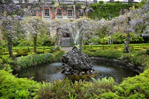 Bezpłatne Darmowe zdjęcie z galerii z flora, fontanna, krajobraz Zdjęcie z galerii