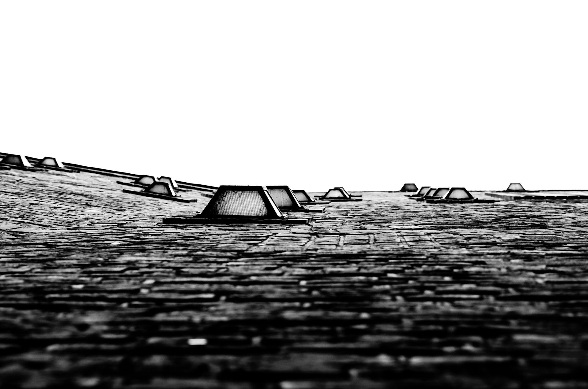 Dramatic black and white view of a roof with dormer windows and a clear sky background.