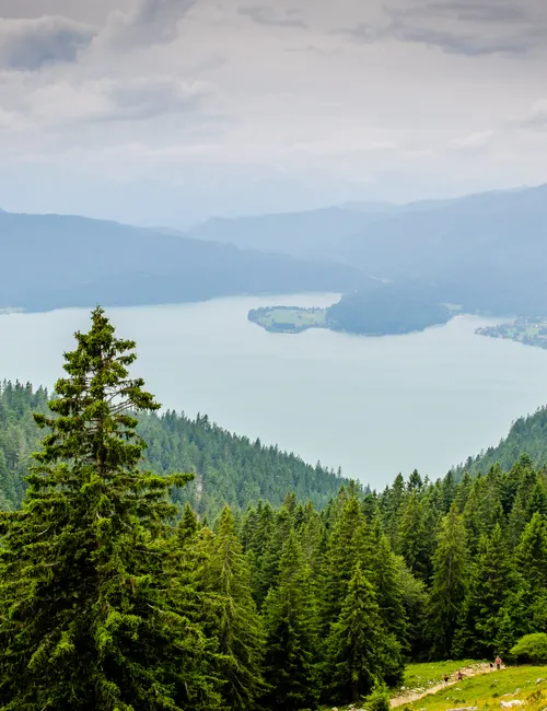 Must-See Family Vacation Ideas: Multi-Generational Trips That Actually Work