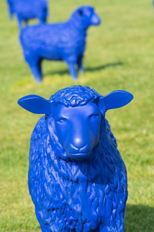 Blue Plastic Sheep In Green Field