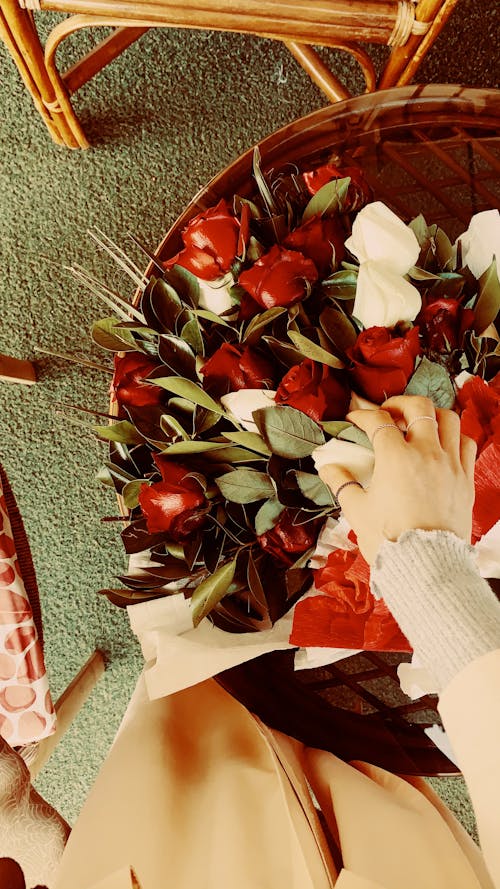 Top View of Woman Touching Bouquet of Red and White Roses 