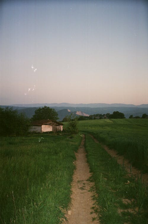 Kostenloses Stock Foto zu analog, analoge fotografie, blick auf die berge