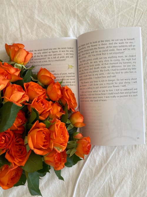 Bouquet of Orange Roses near a Book