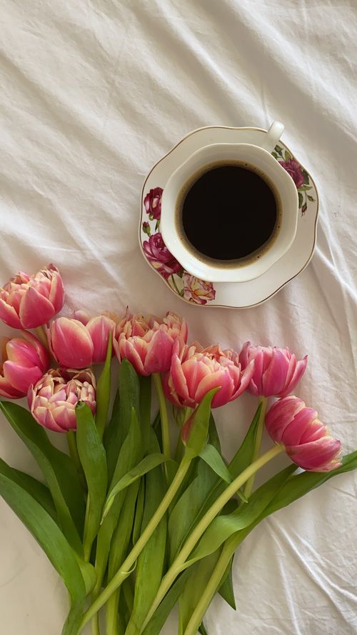 Free Charming flat lay of floral teacup with coffee and pink tulips on white fabric, evoking spring vibes. Stock Photo