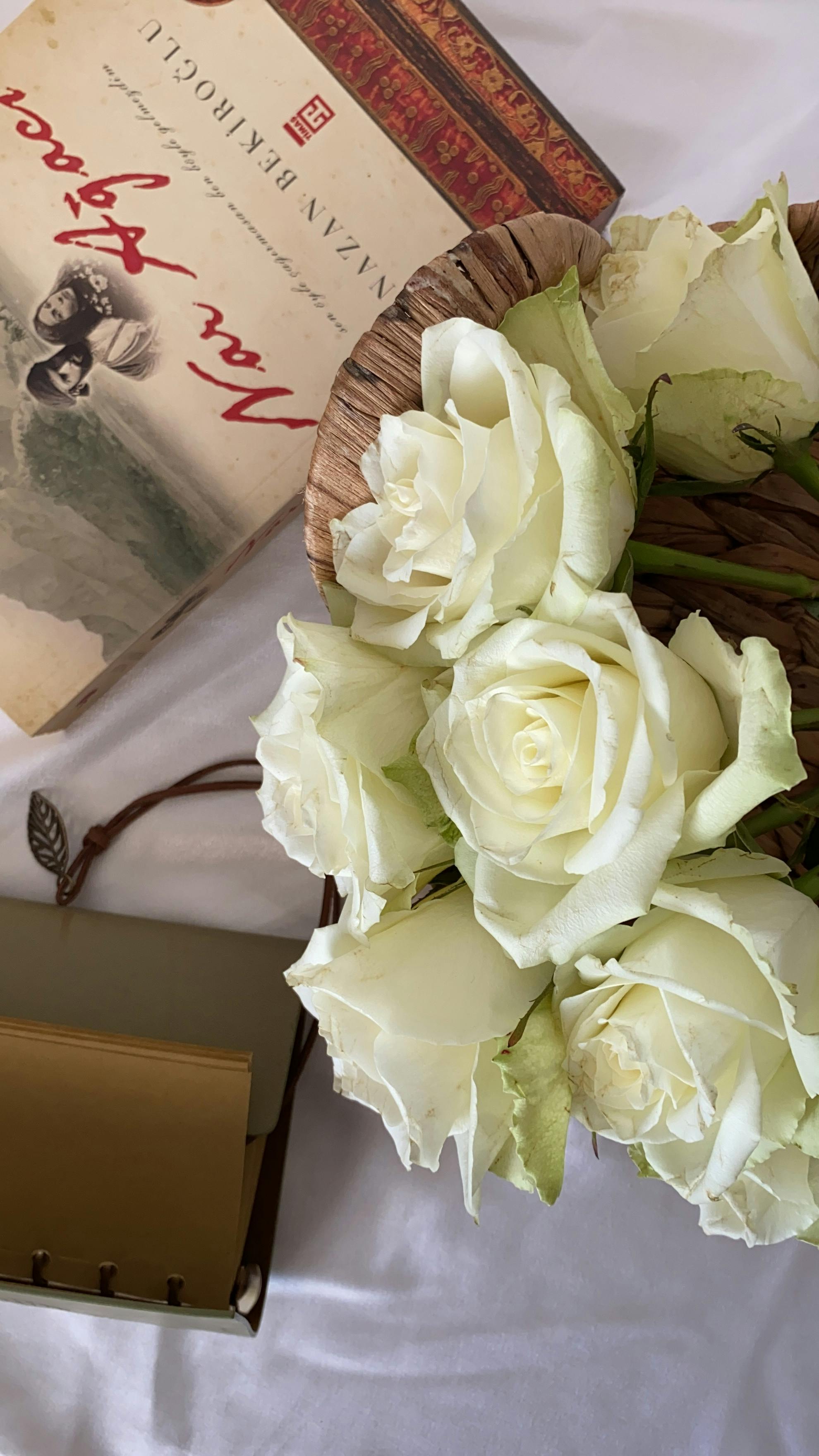 CloseUp Shot of White Roses Near a Book · Free Stock Photo