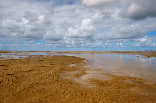 Free Scenery of Brown Sand Beach under Cloudy Sky Stock Photo