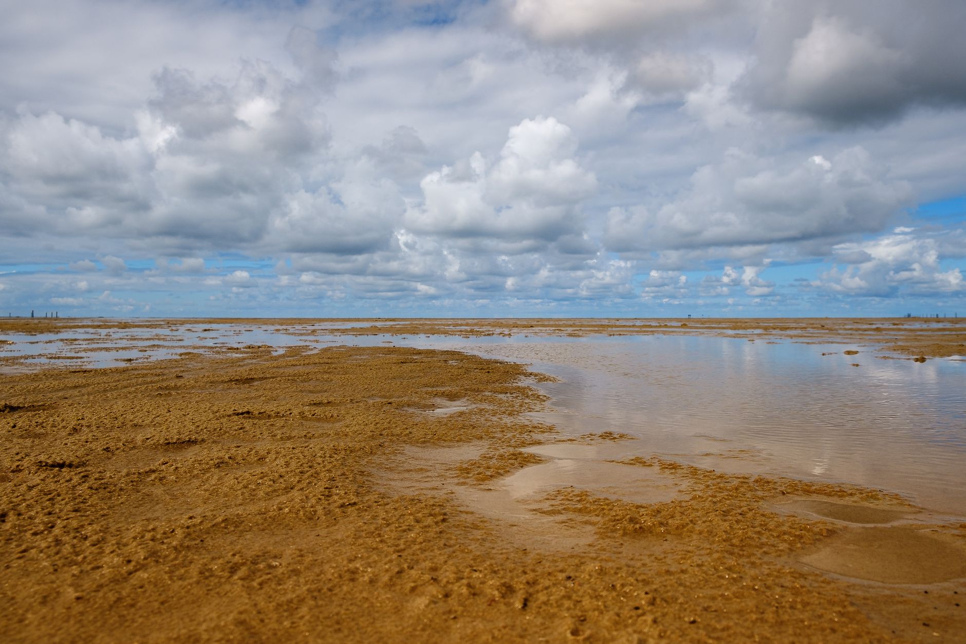 Expansive sandy beach at low tide under a dramatic cloudy sky, showcasing nature's beauty.