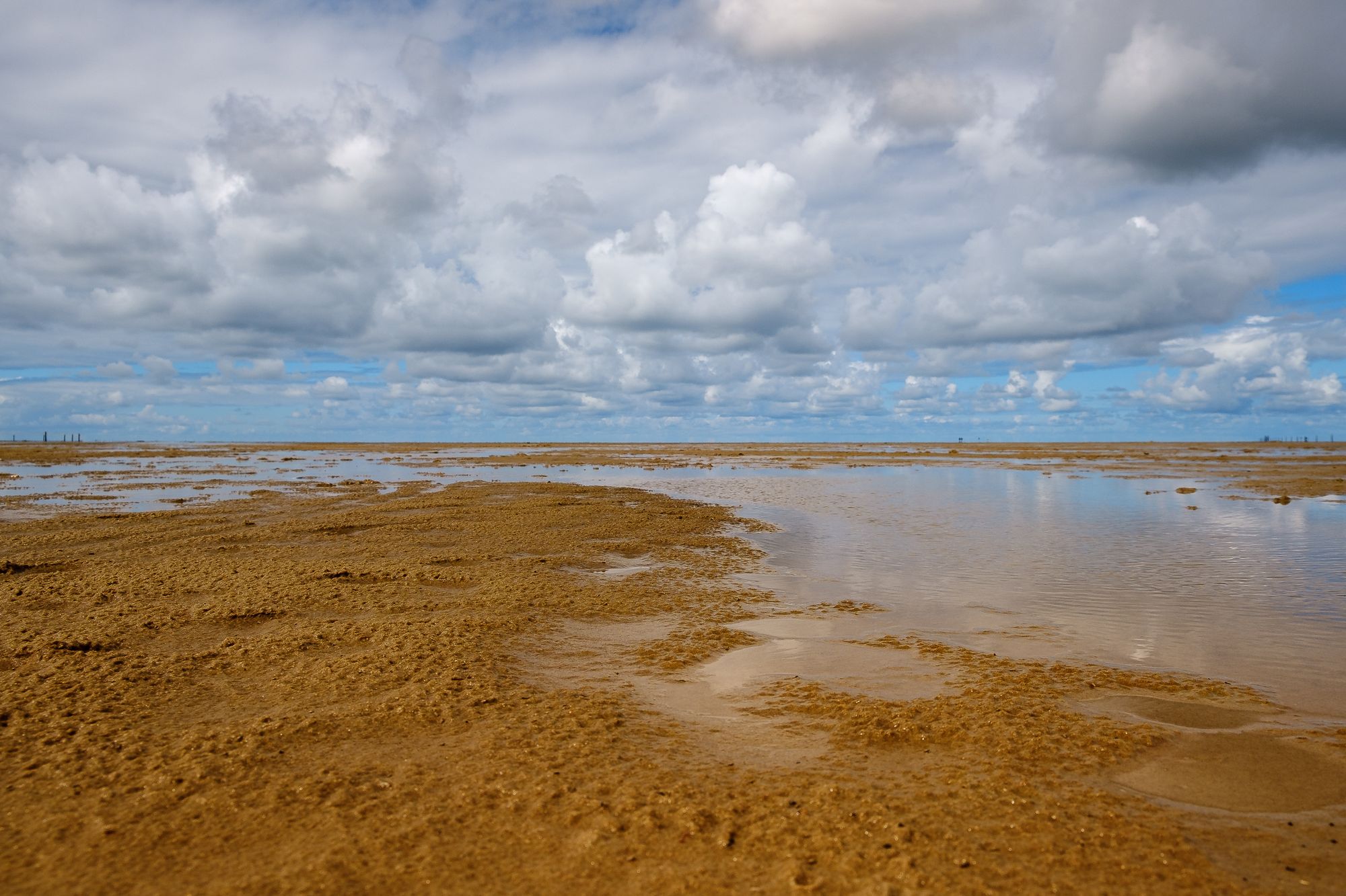 Expansive sandy beach at low tide under a dramatic cloudy sky, showcasing nature's beauty.
