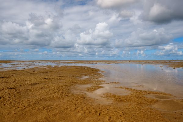 Expansive sandy beach at low tide under a dramatic sky — La Russo on Pexels