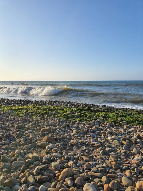 Ocean Waves Crashing on Seashore