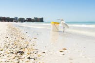 佛罗里达州马可岛海滩上，一只白鹭在水桶旁呈现出一片宁静的场景