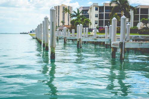 Free Photo of White Wooden Dock on Body of Water Stock Photo