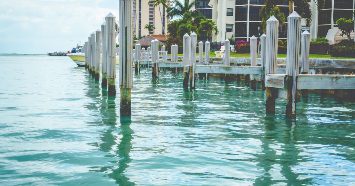 Luxurious waterfront marina with modern buildings and palm trees on Marco Island, Florida.
